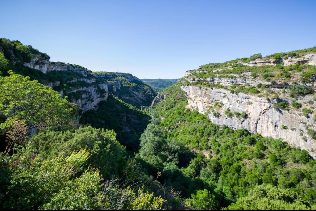 Le Brianyourhosthelper Daire Minerve Dış mekan fotoğraf